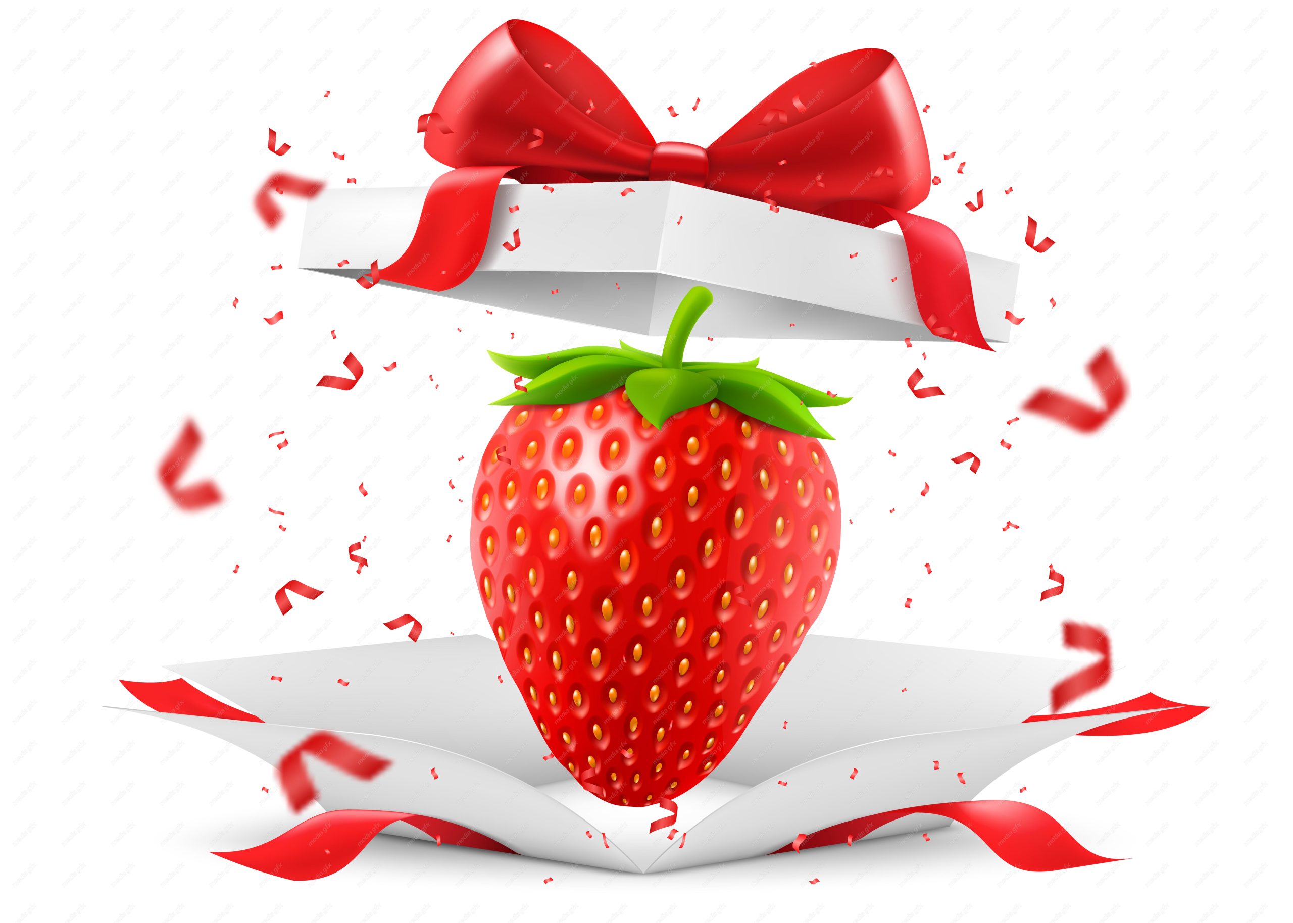 وکتور توت فرنگی  MV006800