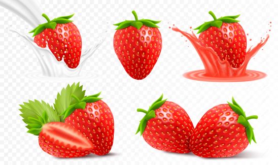 وکتور توت فرنگی  MV006809